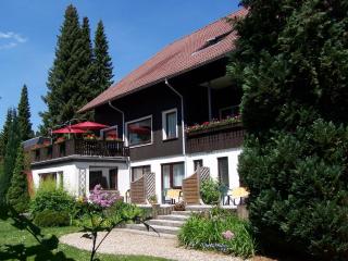 Mein Vierjahreszeiten Hotel Garni Superior - Sankt Andreasberg - 3