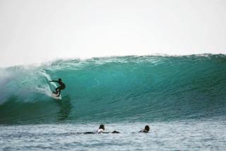 Mentawai Bagus Local Homestay - Tua Pejat - 5