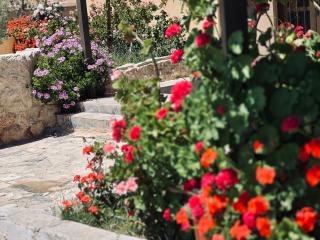 Petra Gold Inn Apartments - 8