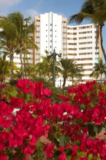 Condominio Carabelas de Colón - 9