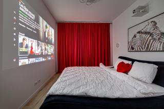 ARI Cinema Apartament with 2M Videoproiector - Arad - 3