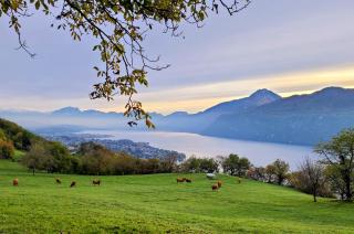 L'Alpage, vue lac - Brison-Saint-Innocent - 7