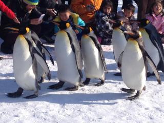 Court Hotel Asahikawa - 9