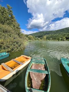 Le Lodge du Pichat - Sainte-Hélène-du-Lac - 4