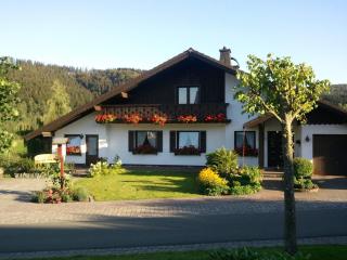 Landhaus Florian - Winterberg - 6