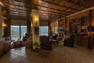 Anesis Hotel - Karpenísi - 4