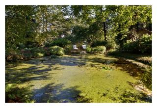 Finca La Peñiga - 3