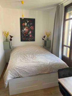 Studio refait à neuf en hypercentre avec balcon - Aix-les-Bains - 3