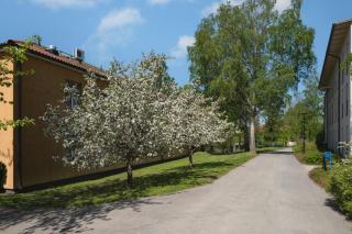 Bosön Hotell & Konferens - Lidingö - 8