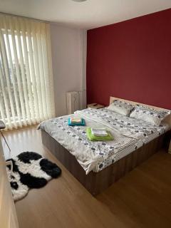 Apartament SweetHome Piața Unirii - Iaşi - 2