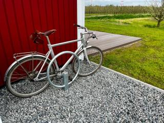 Muggelhuus das Loft mit Elbdeichblick im Alten Land und mit Wallbox - Twielenfleth - 7