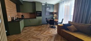 Mazovia Gold Apartament - Płock - 6