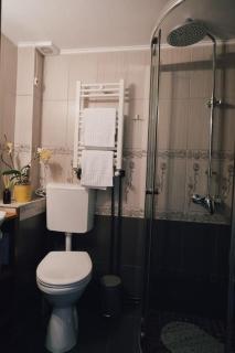 Vista Studio Brasov in the Heart of the Old City Center - Braşov - 2