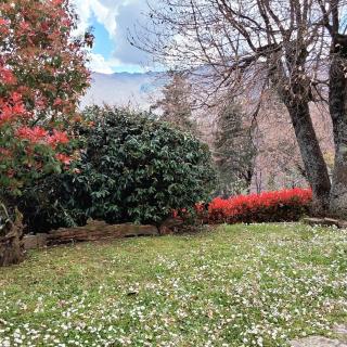 Casa Conny - Poppi - 6
