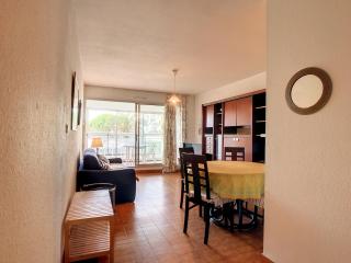 Appartement T2 Climatisé avec Loggia et Parking à Carnon - FR-1-715-40 - Mauguio - 8