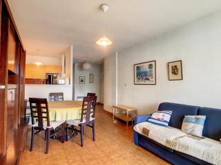Appartement T2 Climatisé avec Loggia et Parking à Carnon - FR-1-715-40 - Mauguio - 6