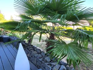 Regal Apartment in Pracht with Garden and Grill - 2