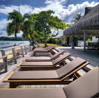 Moorea Island Beach Hotel - Moorea - 3