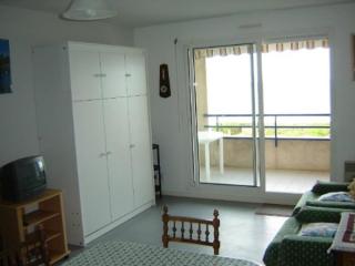Notre-Dame-de-Monts - Appartement 45m² - 4 pers - Animaux admis - Parking - FR-1-540-192 - Notre-Dame-de-Monts - 9