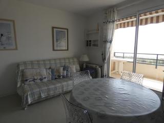 Notre-Dame-de-Monts - Appartement 48m² - 5 personnes - Garage - Balcon - FR-1-540-217 - Notre-Dame-de-Monts - 7