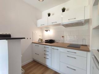Appartement avec WIFI, terrasse, jardin, parking privé à 800m de la plage à Trébeurden - FR-1-368-386 - Trébeurden - 8