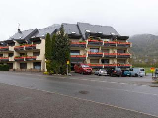 Duplex rénové 4 pers Saint Lary Village près des Thermes et télécabine - FR-1-296-467 - Saint-Lary-Soulan - 1