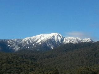 View Mount - 6