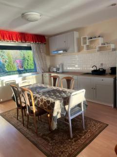 Willa Wicko - Międzyzdroje - apartamenty z aneksem - widok na Zalew Szczeciński - Misdroy - 6