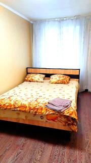 Центр Автовокзал 2 кв Apartaments - Dnipro - 2