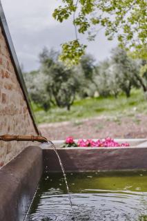 Monna Terra B&B - Fermo - 7