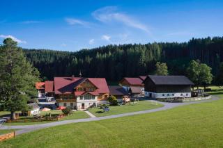 Forsterhof - Ramsau am Dachstein - 8