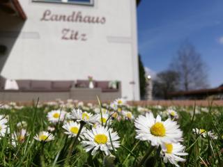 Landhaus Zitz - Ranten - 9