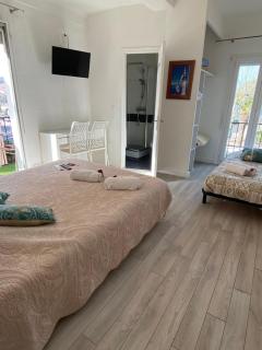 Hotel Les Pecheurs - Banyuls-sur-Mer - 6