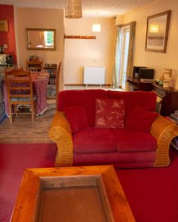 Lily Cottage peaceful retreat in nature - Cardigan - 4