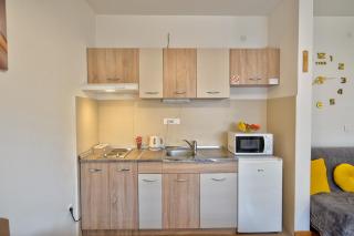 Studio Snežana Lux Zlatibor - Zlatibor - 8