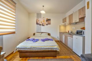Studio Snežana Lux Zlatibor - Zlatibor - 4