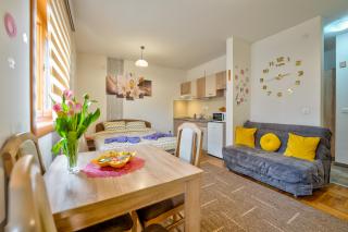 Studio Snežana Lux Zlatibor - Zlatibor - 5