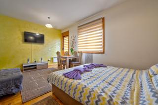Studio Snežana Lux Zlatibor - Zlatibor - 3