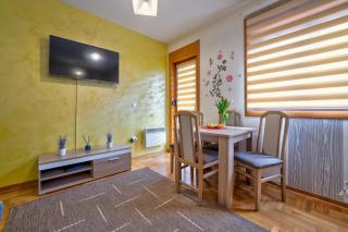 Studio Snežana Lux Zlatibor - Zlatibor - 1