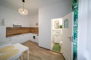 Jungle Vision Apartment - Rynek - 6