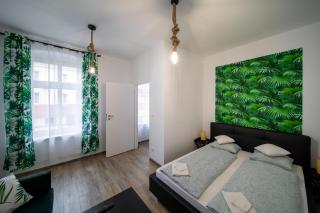 Jungle Vision Apartment - Rynek - 8