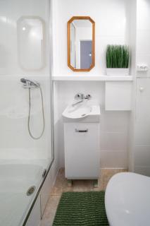 Jungle Vision Apartment - Rynek - Opole - 1