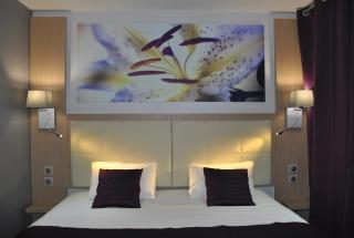 FH Confort Hotel Orléans Co'met - 4