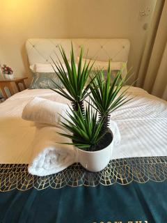 Newly Riverbank suites 408 - 5