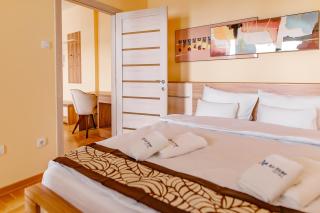 Hotel AirStar - Surčin - 9