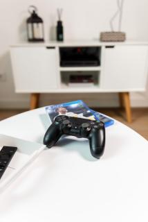 Deluxe Flat, PS4, Parken, Netflix, Zentral - Offenbach - 5