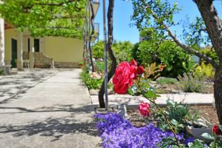 Apartments Viola - Betina - 1