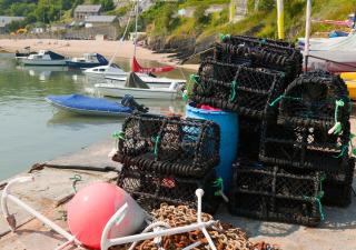Cilie Tresaith - Penbryn - 1