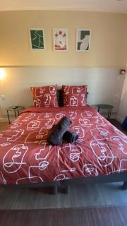 Joli studio Camargue Lou Rouge Arles - Arles - 8
