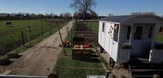 Ontwaken tussen de paarden - Helen-Bos - 6